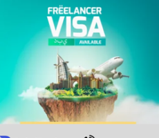 Freelance Visa